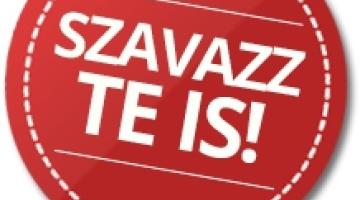 Diákképviselő és diákszenátor választás